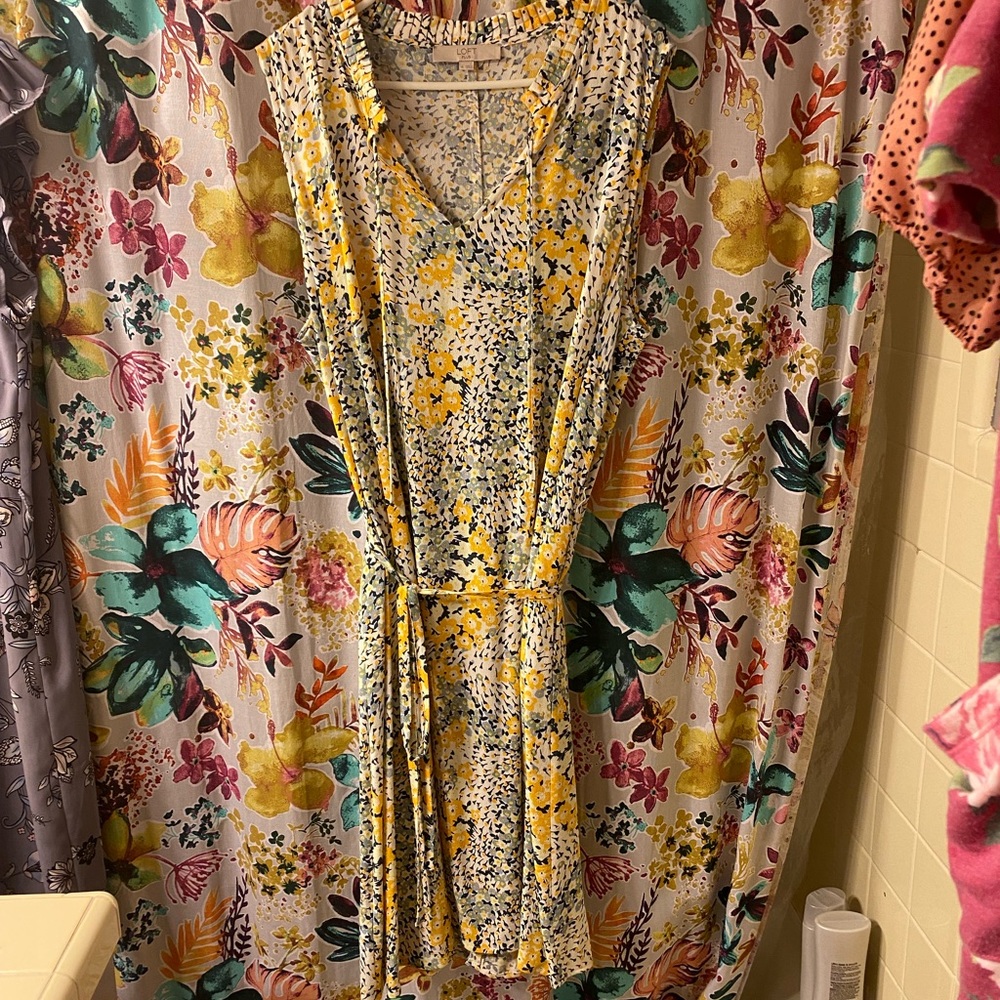 Loft sleeveless dress